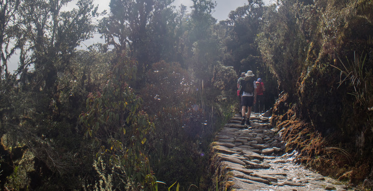 Responsible tourism on the Inca Trail
